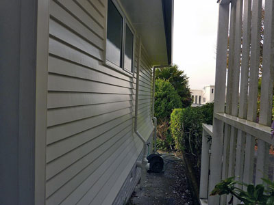 Exterior wall paintings