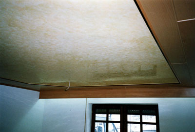 Venetian plastering techniques